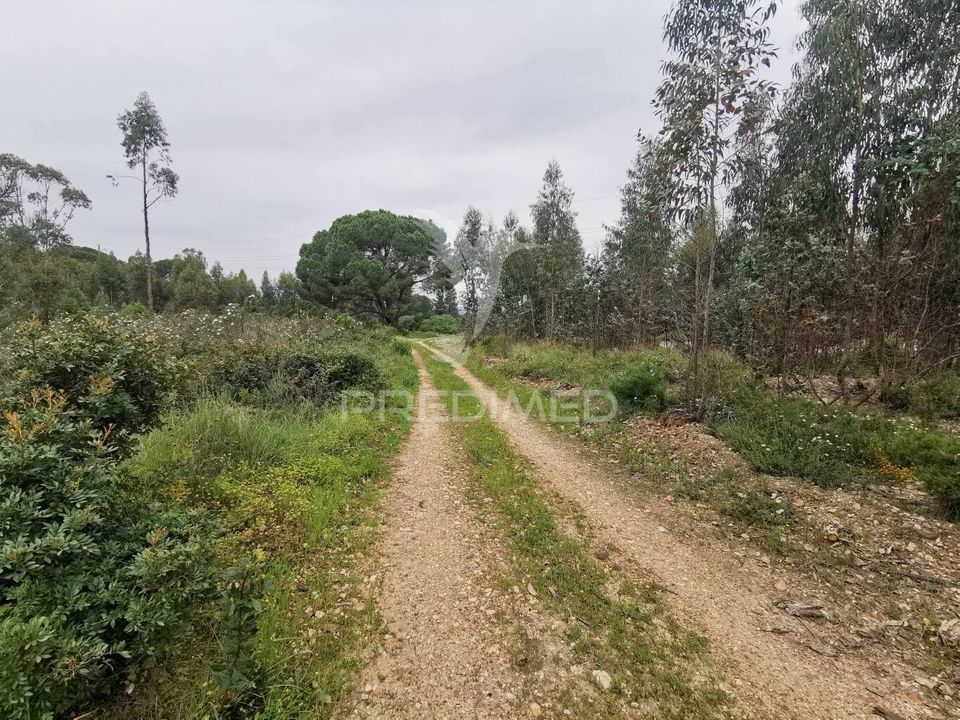 Helårsgrund i Vila Nova da Barquinha, Santarem - foto 1
