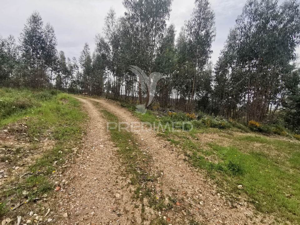 Helårsgrund i Vila Nova da Barquinha, Santarem - foto 3