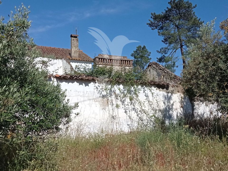 Rekkehus i Ponte de Sor, Portalegre - bilde 3