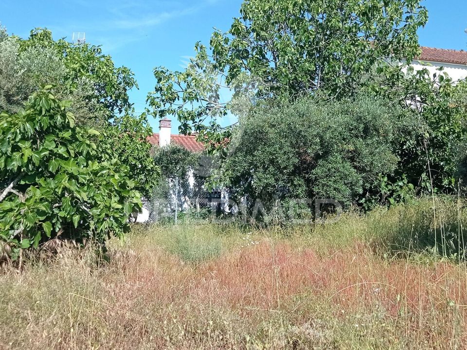 Rekkehus i Ponte de Sor, Portalegre - bilde 5