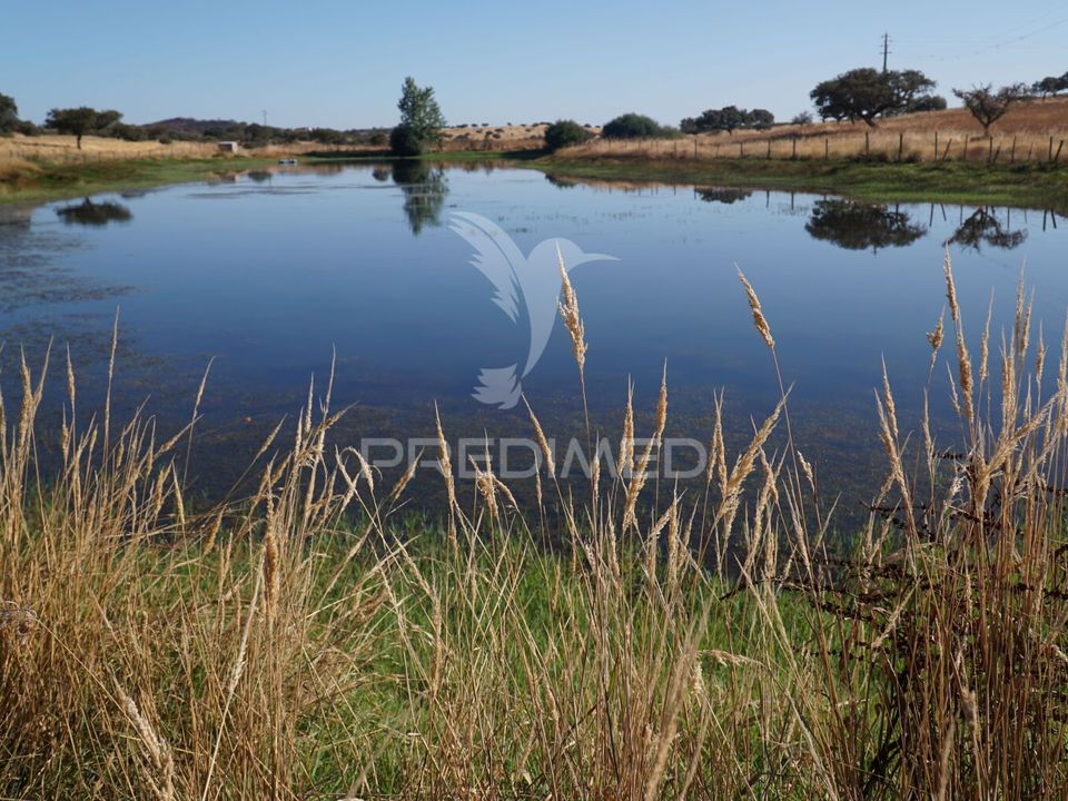 Farm hus i Alandroal, Evora - foto 1