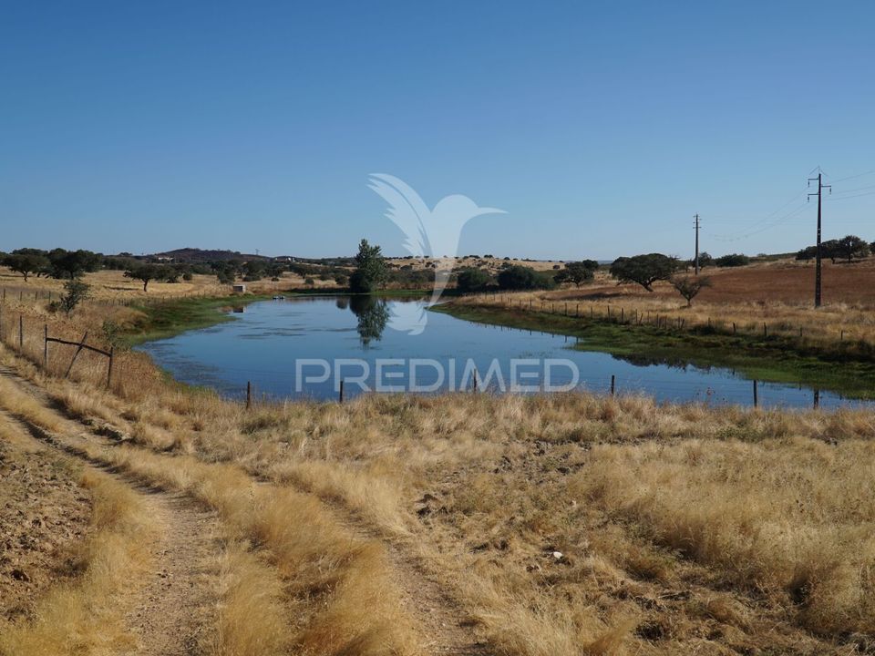 Farm hus i Alandroal, Evora - foto 2