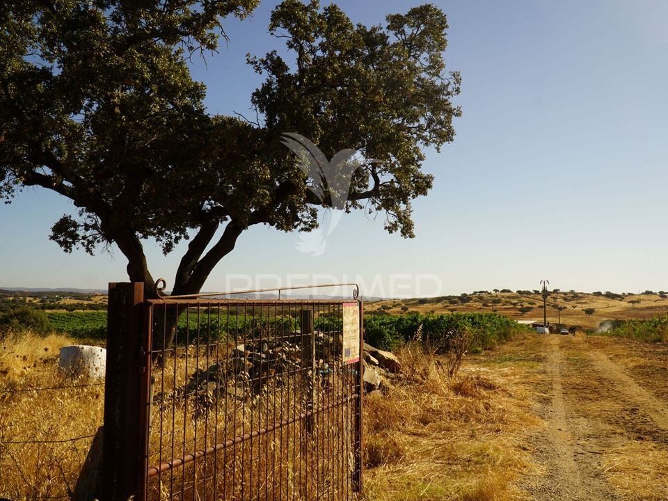 Farm hus i Alandroal, Evora - foto 3
