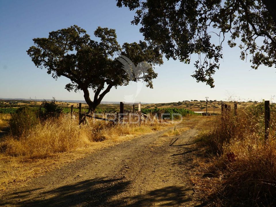 Farm hus i Alandroal, Evora - foto 4
