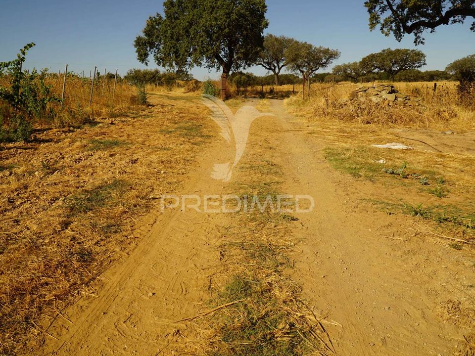 Farm hus i Alandroal, Evora - foto 5