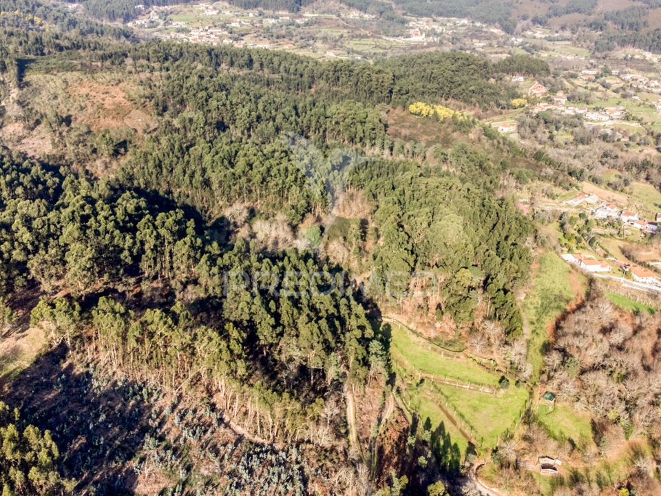 Helårsgrund i Vila Verde, Braga - foto 5