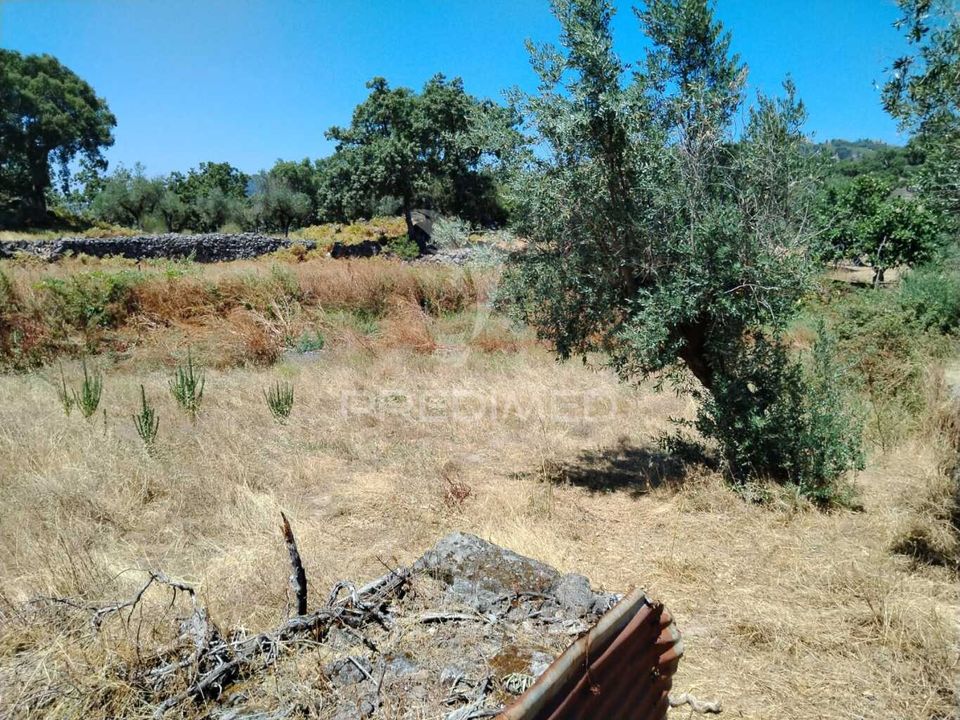 Helårsgrund i Portalegre, Portalegre - foto 4