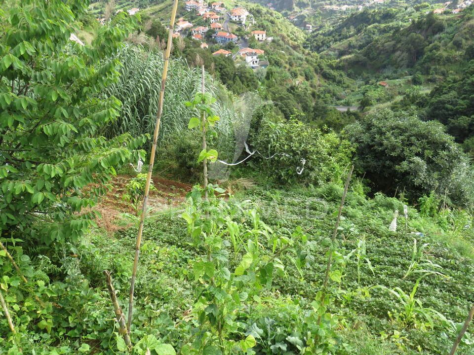 Helårsgrund i Machico, Madeira - foto 5