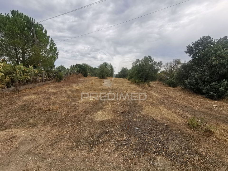 Helårsgrund i Tomar, Santarem - foto 4