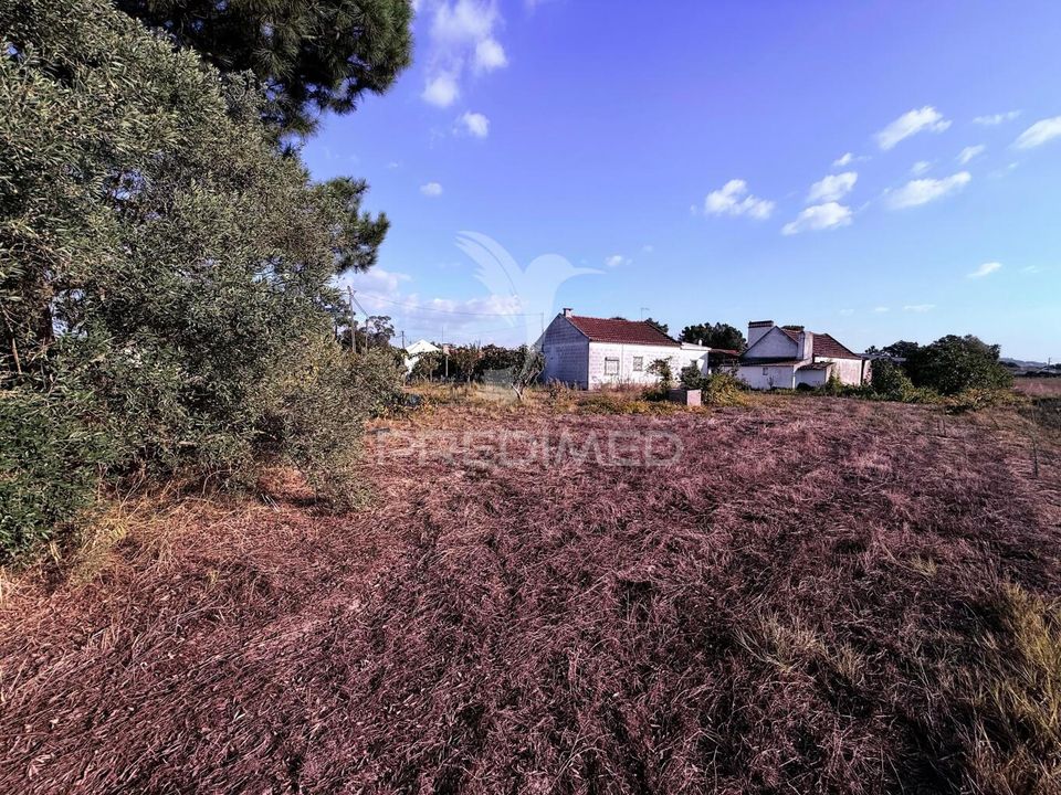 Byhus i Palmela, Setubal - foto 2