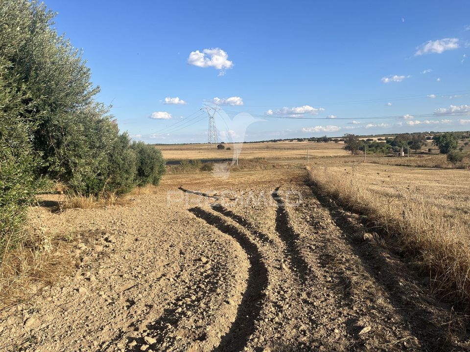 Helårsgrund i Ferreira do Alentejo, Beja - foto 5