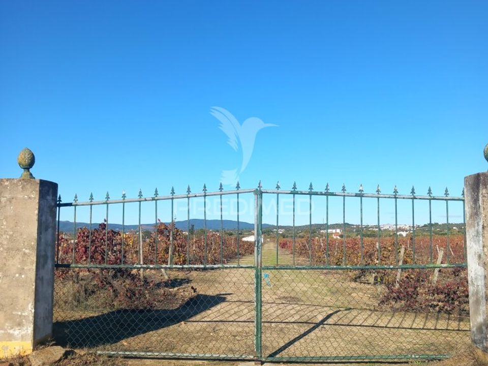 Farm hus i Redondo, Evora - foto 3