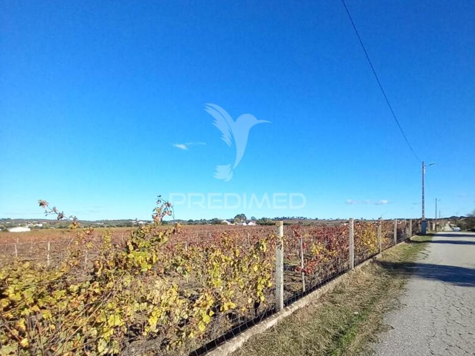 Farm hus i Redondo, Evora - foto 4