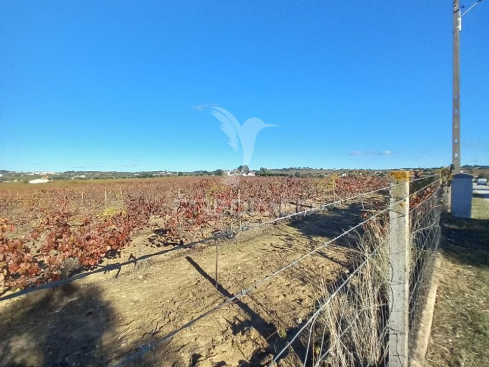 Farm hus i Redondo, Evora - foto 5