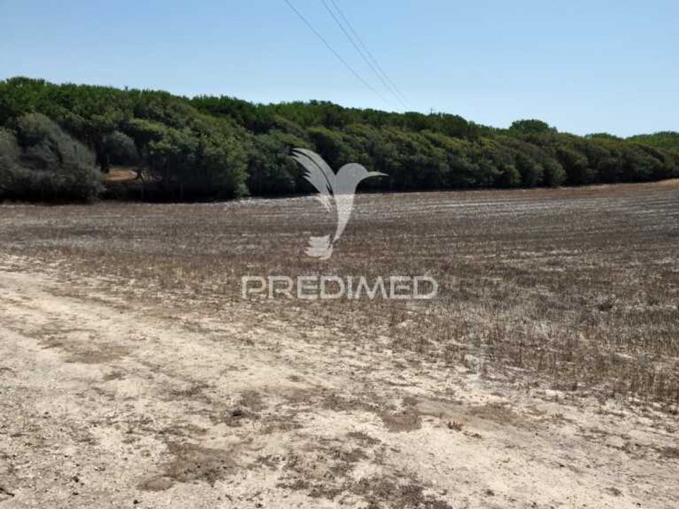 Helårsgrund i Sines, Setubal - foto 2