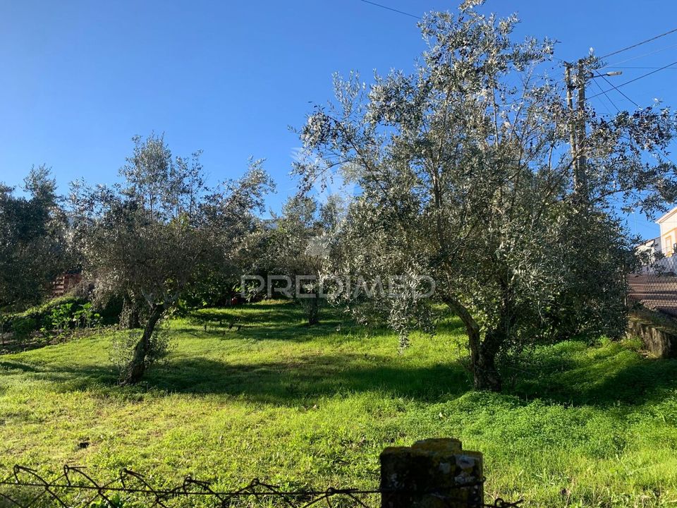 Helårsgrund i Abrantes, Santarem - foto 1