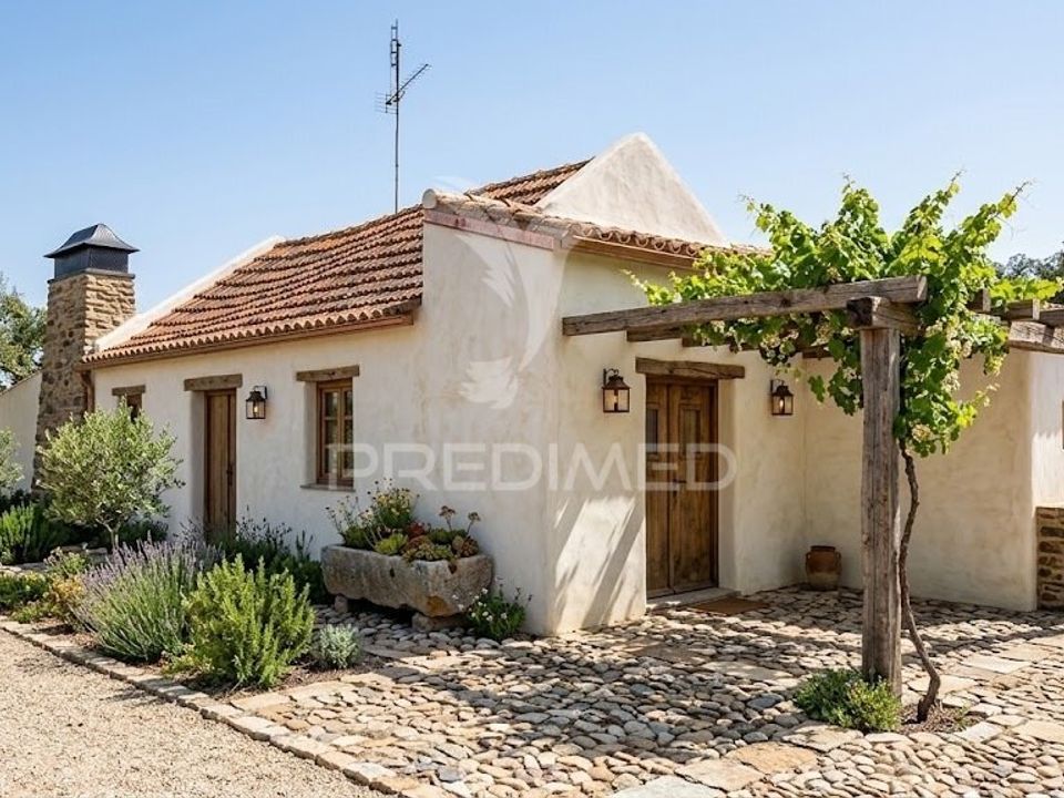 Farm hus i Coruche, Santarem - foto 1