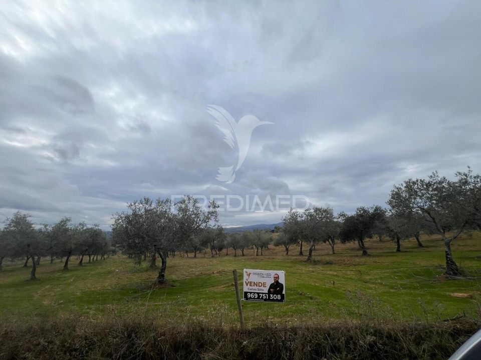 Helårsgrund i Macedo de Cavaleiros, Braganca - foto 1