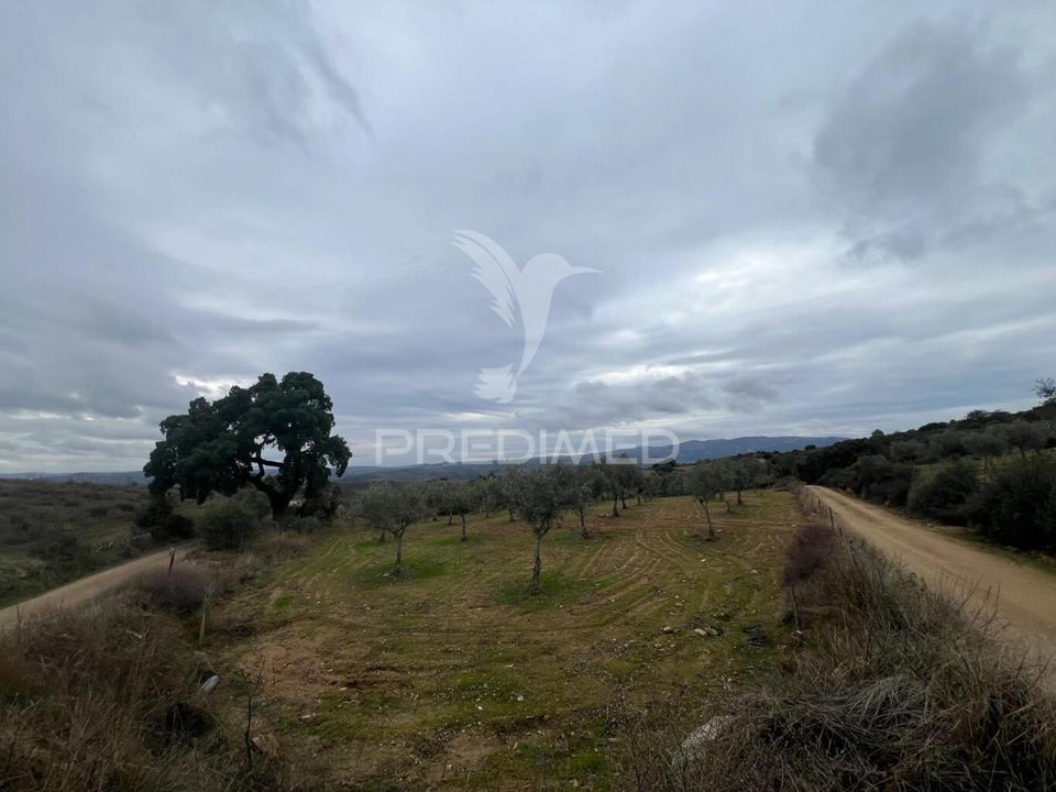 Helårsgrund i Macedo de Cavaleiros, Braganca - foto 2