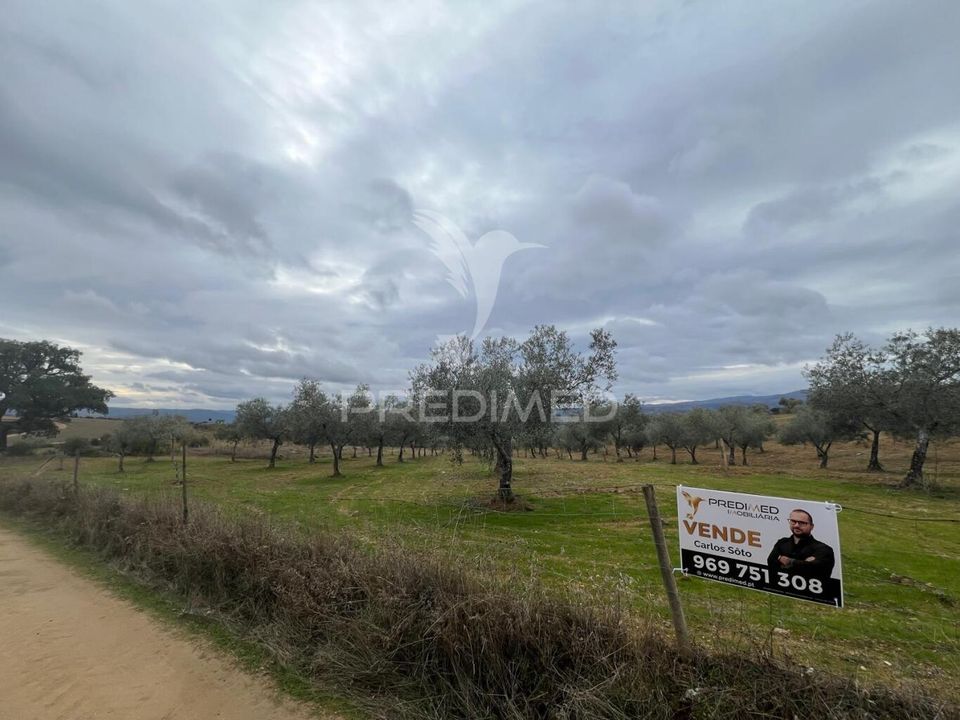 Helårsgrund i Macedo de Cavaleiros, Braganca - foto 3