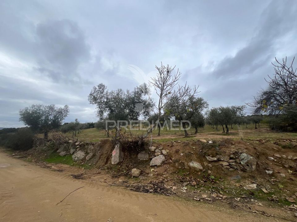 Helårsgrund i Macedo de Cavaleiros, Braganca - foto 4
