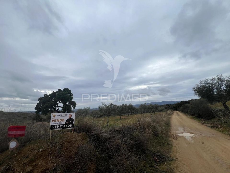 Helårsgrund i Macedo de Cavaleiros, Braganca - foto 5