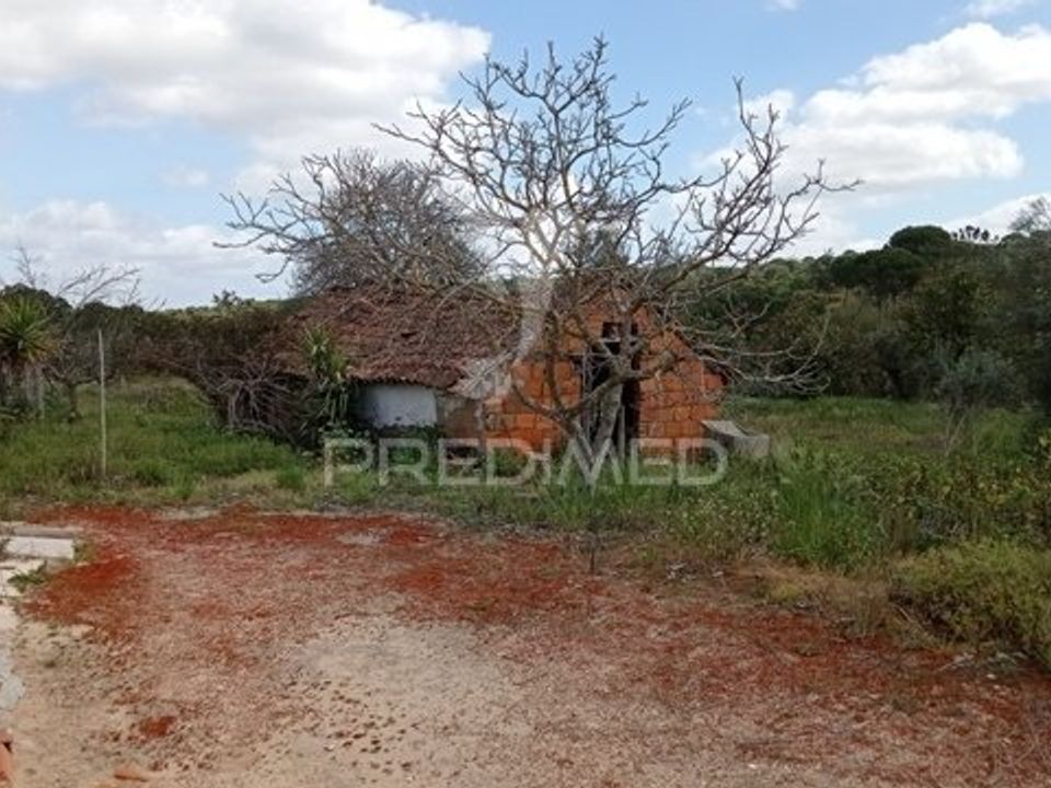 Farm hus i Coruche, Santarem - foto 2