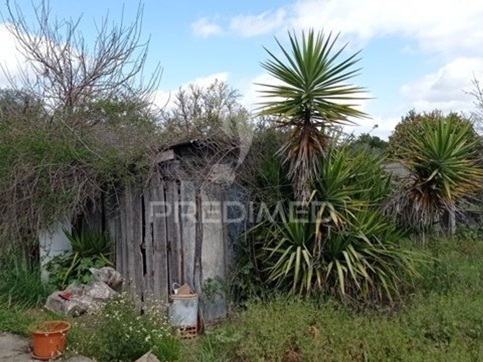 Farm hus i Coruche, Santarem - foto 3