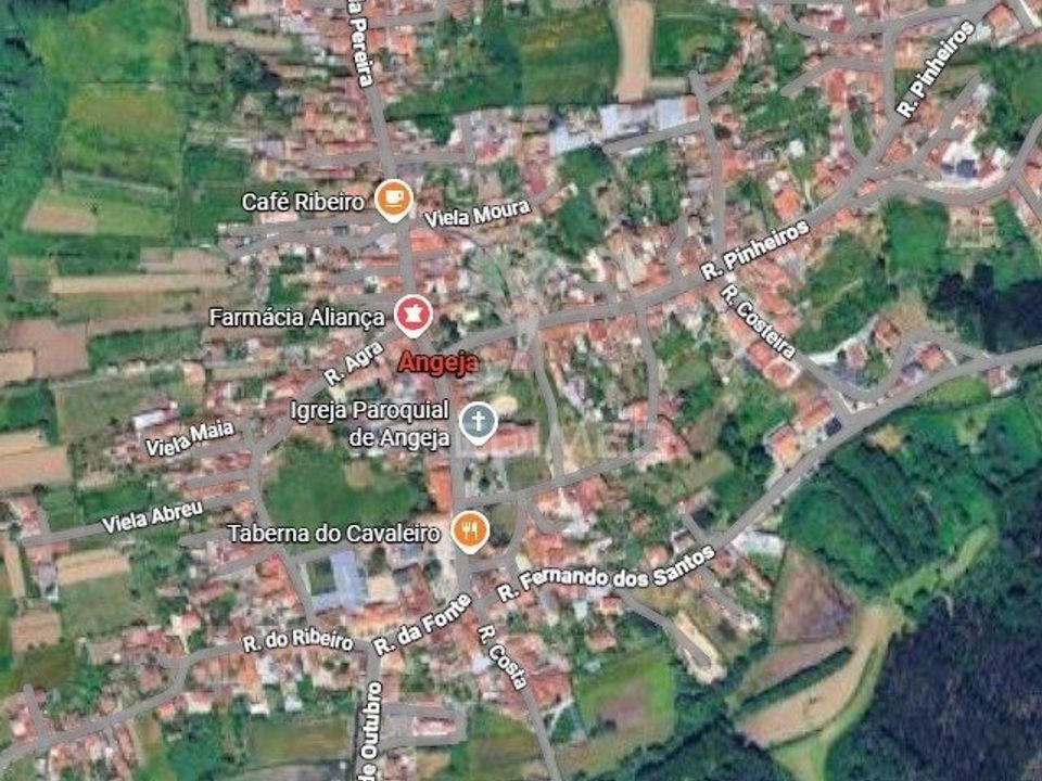 Helårsgrund i Albergaria-a-Velha, Aveiro - foto 1