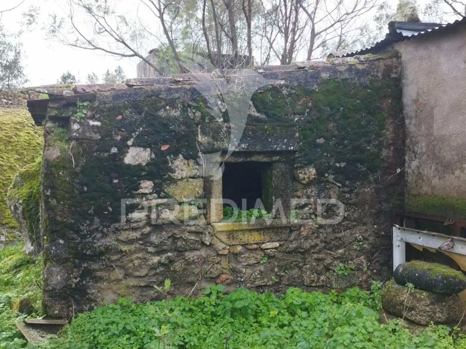 Tomt i Castelo de Vide, Portalegre - bilde 2