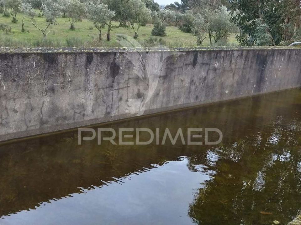 Tomt i Castelo de Vide, Portalegre - bilde 4