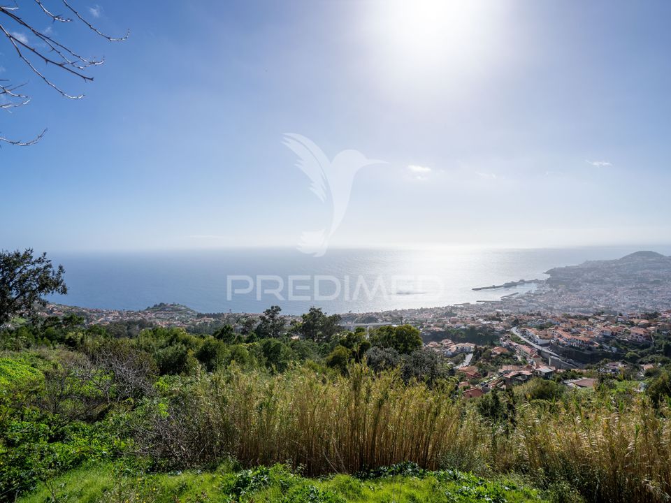 Byhus i Funchal, Madeira - foto 4