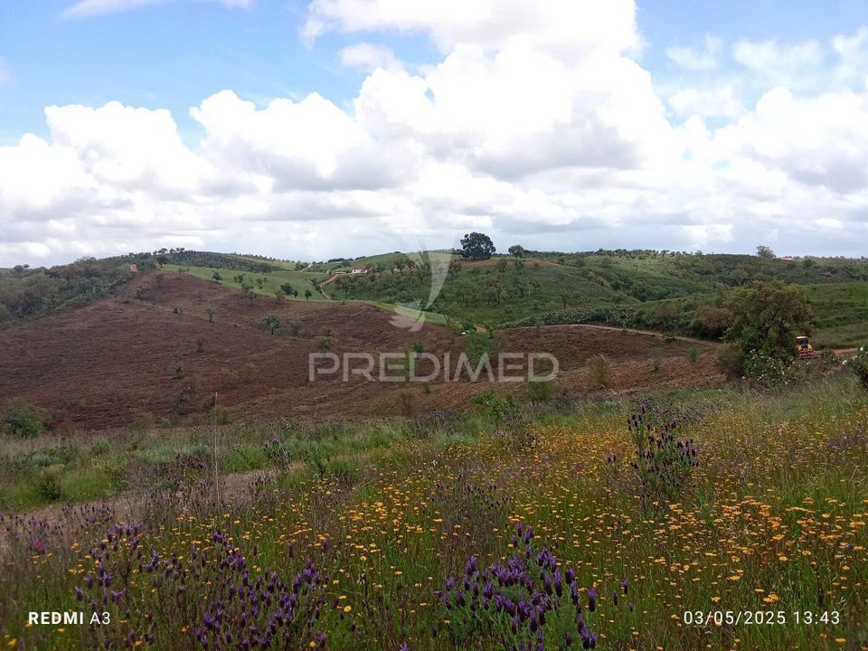 Farm hus i Odemira, Beja - foto 3