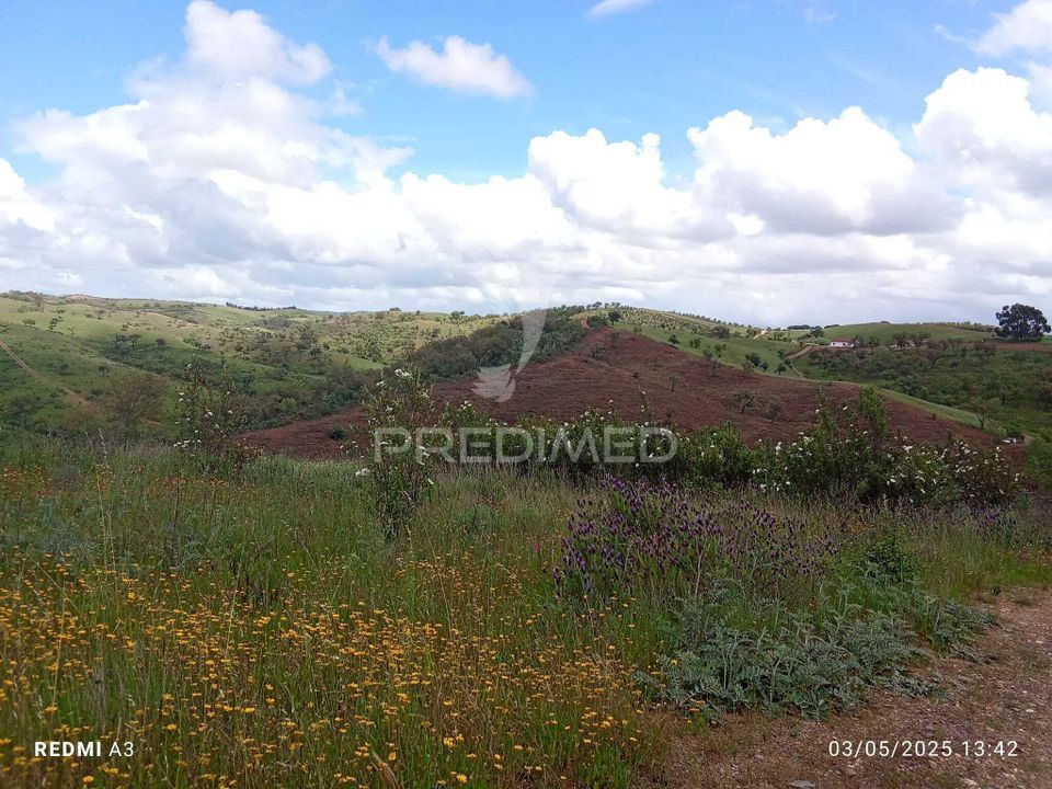 Farm hus i Odemira, Beja - foto 5