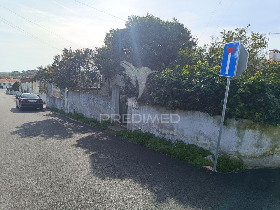 Tomt i Cartaxo, Santarem - bilde 2
