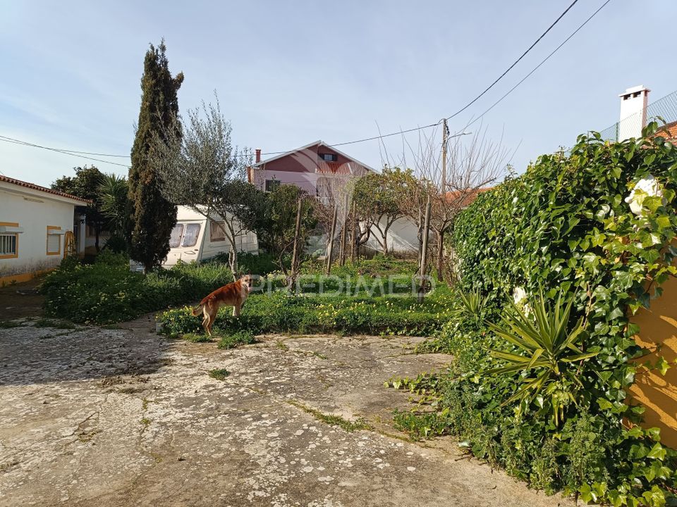 Tomt i Cartaxo, Santarem - bilde 3