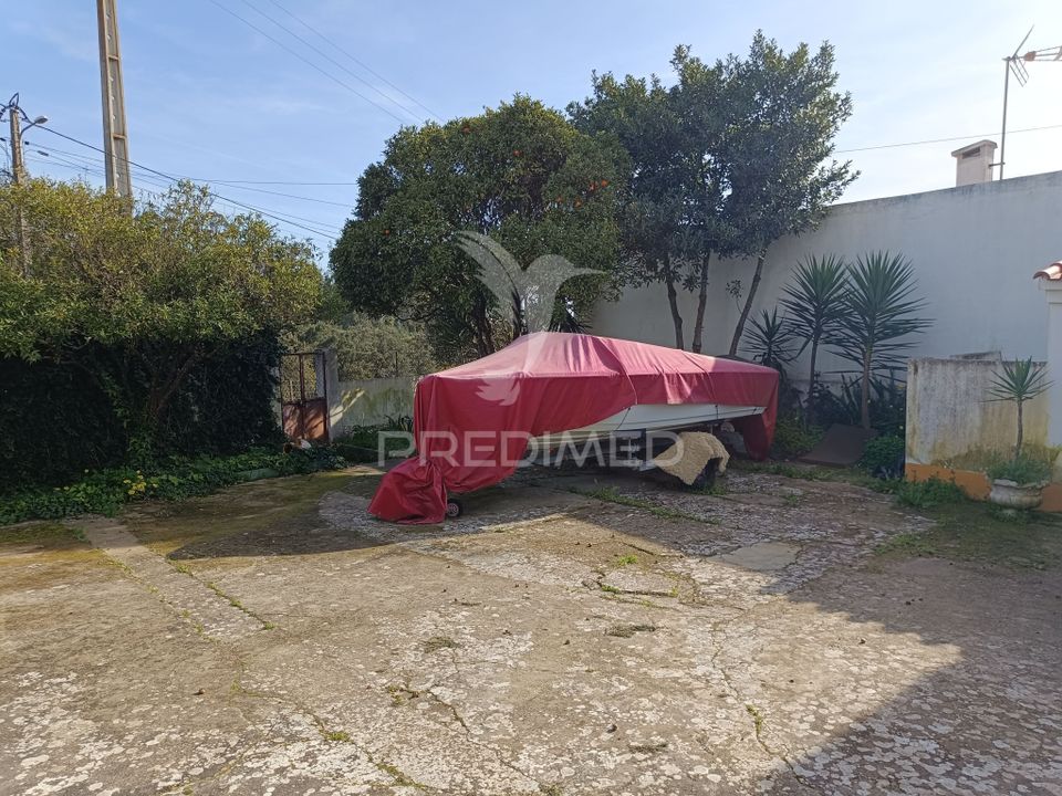 Tomt i Cartaxo, Santarem - bilde 4