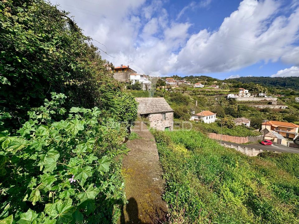Helårsgrund i Santa Cruz, Madeira - foto 3