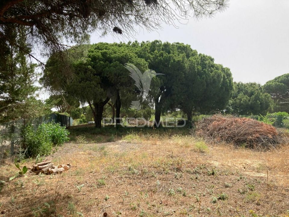 Land in Loule, Faro - photo 1