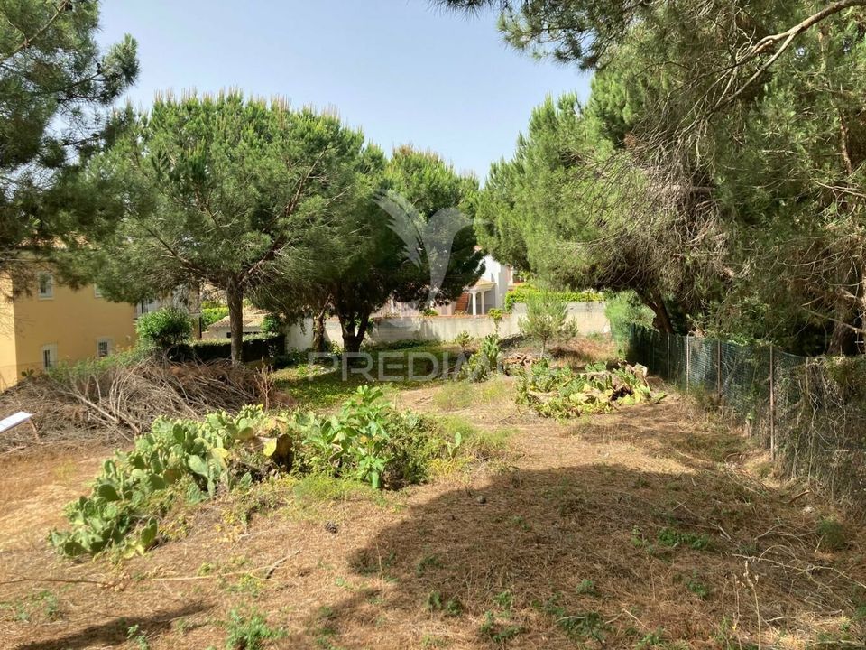Land in Loule, Faro - photo 2
