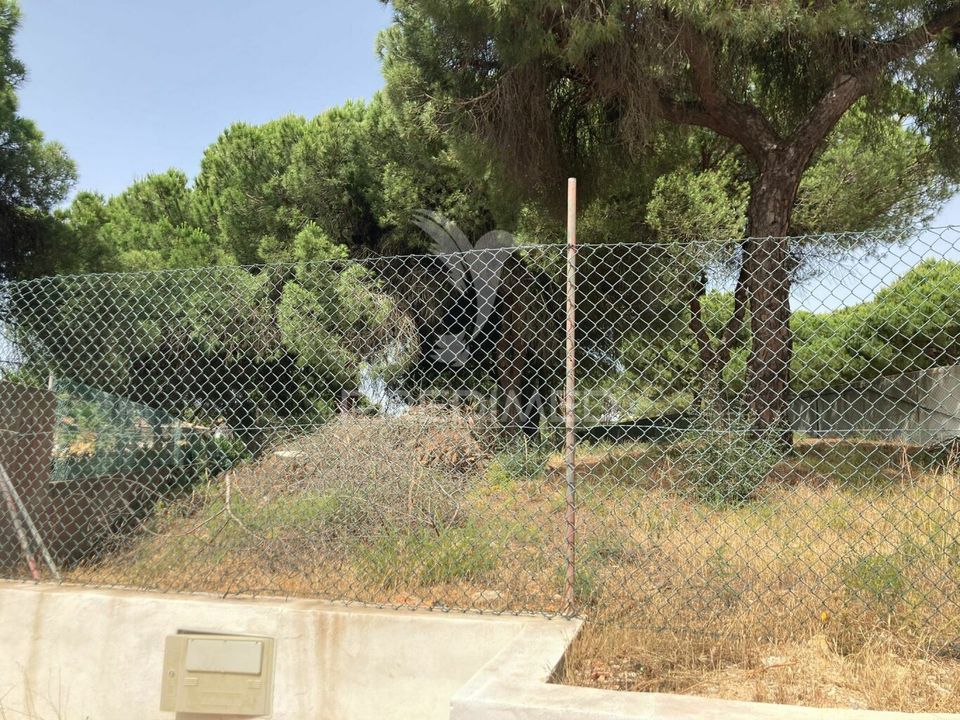 Land in Loule, Faro - photo 3
