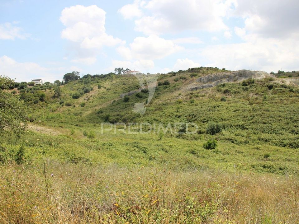 Helårsgrund i Torres Novas, Santarem - foto 2