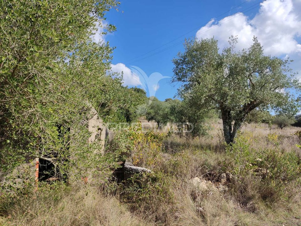 Helårsgrund i Ourem, Santarem - foto 2