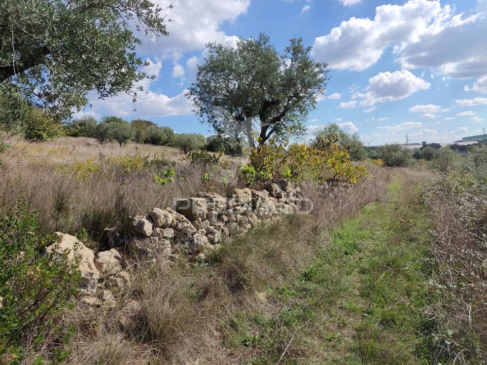 Helårsgrund i Ourem, Santarem - foto 4
