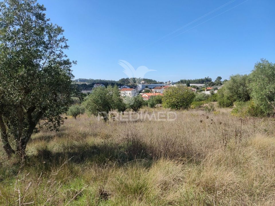Helårsgrund i Ourem, Santarem - foto 5