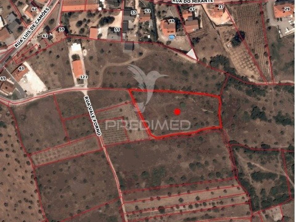 Helårsgrund i Ourem, Santarem - foto 1