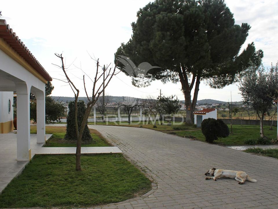 Farm hus i Monforte, Portalegre - foto 4
