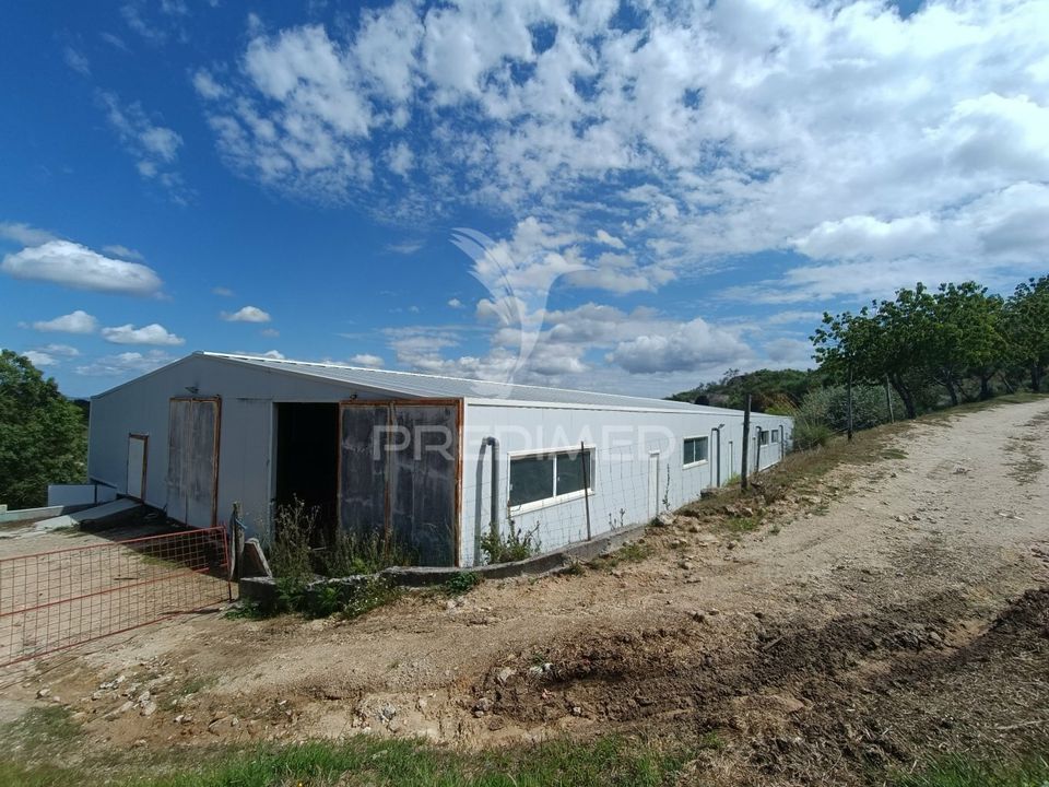 Farm hus i Trancoso, Guarda - foto 2