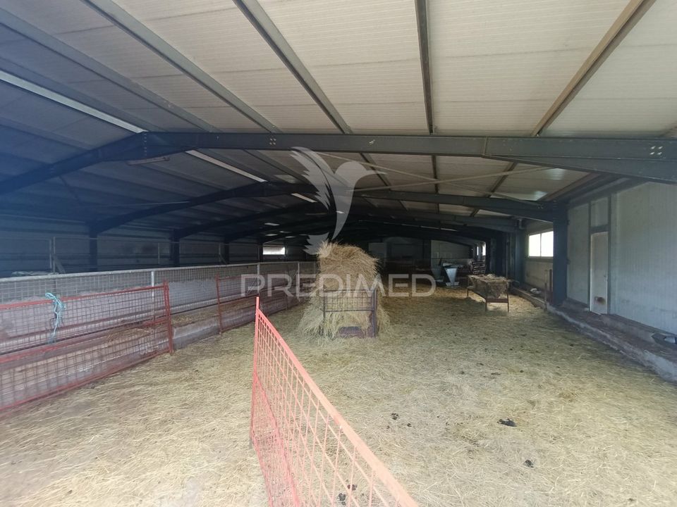 Farm hus i Trancoso, Guarda - foto 3