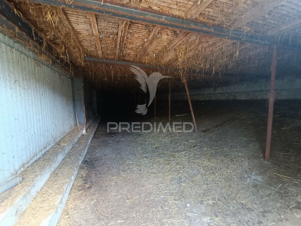 Farm hus i Trancoso, Guarda - foto 4